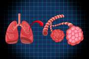  Two Molecular Markers of Early Non-Small Cell Lung Carcinoma Based on Gene Expression in Peripheral Blood 