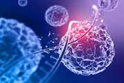 Effect of Photobiomodulation Therapy on Differentiation of Mesenchymal Stem Cells Derived from Impacted Third Molar Tooth into Neuron-like Cells