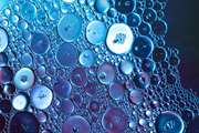 The fundamentals of tissue engineering in the process of alveolar bone regeneration