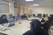  Holding a meeting of the Research Council of Maxillofacial Surgery Research Center - July 2024