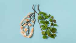 Gene expression of P16 and LUNX in patients undergoing anthracosis and its relationship with non small cell lung cancer.