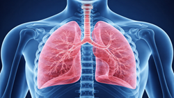 MCP1 IL6  TMPRSS2 and CRP Gene Expression in Peripheral Blood of COVID19 Patients with a History of COPD and Comparison with Healthy Individuals