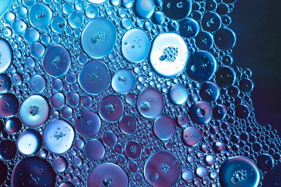 The fundamentals of tissue engineering in the process of alveolar bone regeneration {faces}