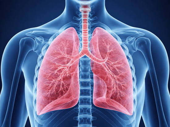 MCP1 IL6  TMPRSS2 and CRP Gene Expression in Peripheral Blood of COVID19 Patients with a History of COPD and Comparison with He {faces}
