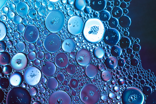 The fundamentals of tissue engineering in the process of alveolar bone regeneration
