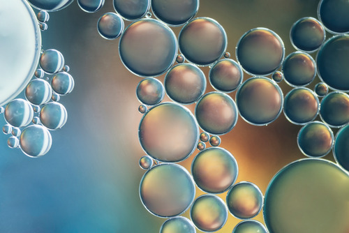 Exosome functionalized collagen coated 3D printed PCL scaffold for enhanced osteogenic differentiation and bone regeneration: an in vitro and in vivo study