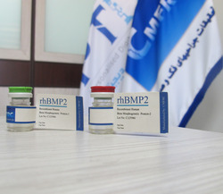 بروتین rhBMP-2